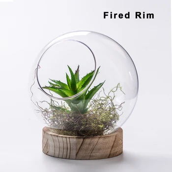 Wholesale Cheap Glass Ball Vases Round Terrarium With Wood Base