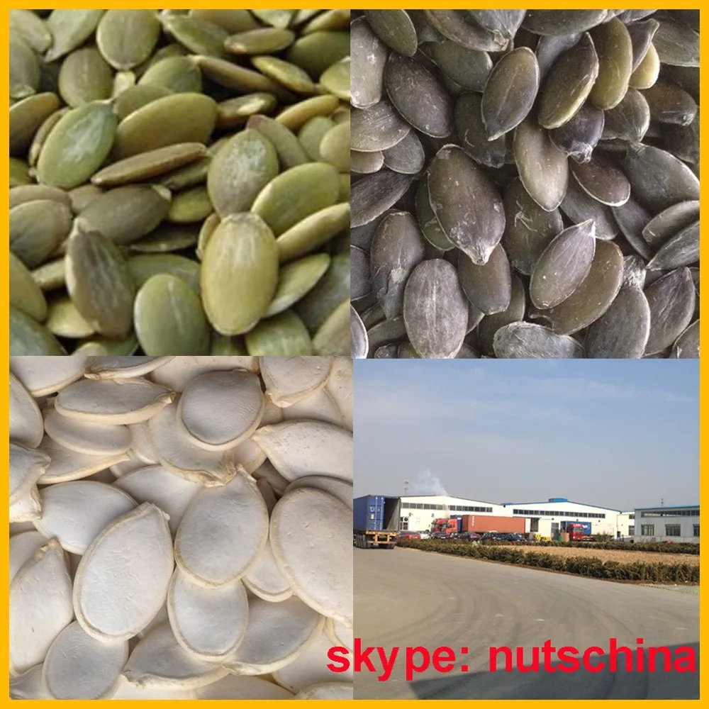 Organic Dark Green Pumpkin Seeds Gws(grown Without Shell) Aaa/aa / A