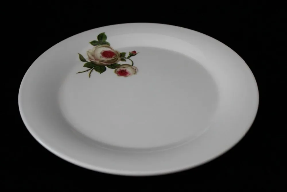 23cm Melamine Dinner Plate Plastic Serving Plate
