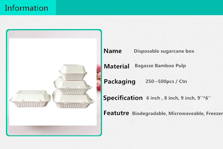 Biodegradable Disposable Tableware Paper Dishes Sugarcane Bagasse Food Box