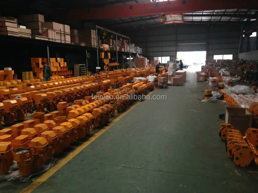 HHBB Factory Direct Electric Chain Hoist 220V Steel Lifting Equipment Remote Co<em></em>ntrol for Hotels Industrial Use New Condition