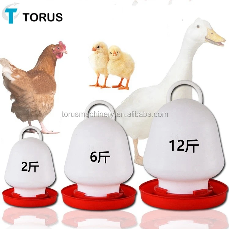 Most Popular Solid Poultry Farm Baby Chick Feeder - Buy Poultry Farm ...