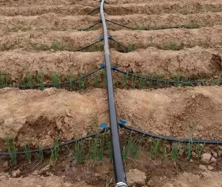 Ldpe Drip Irrigation Pipe With Cylindrical Dripper Buy Ldpe Drip Pipe