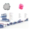 Good Quality PSF Fiber Making Machinery Using PET Bottle Flakes
