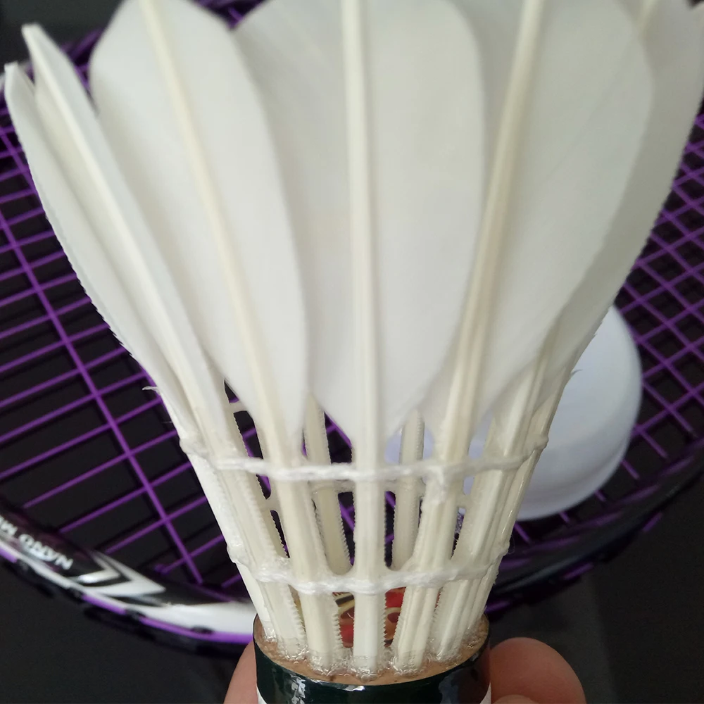 big shuttlecock
