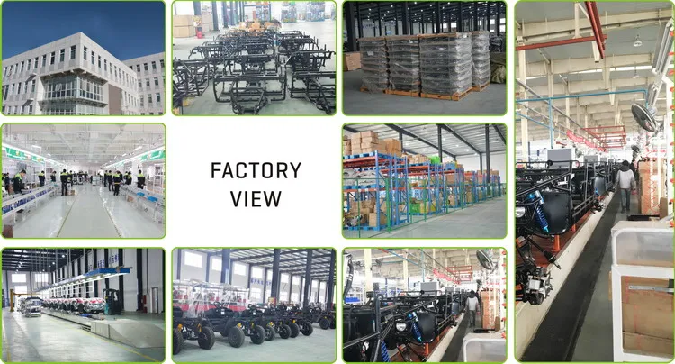Company Information