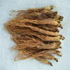 Hong shen tonifying Good product fresh dried korea insam red ginseng