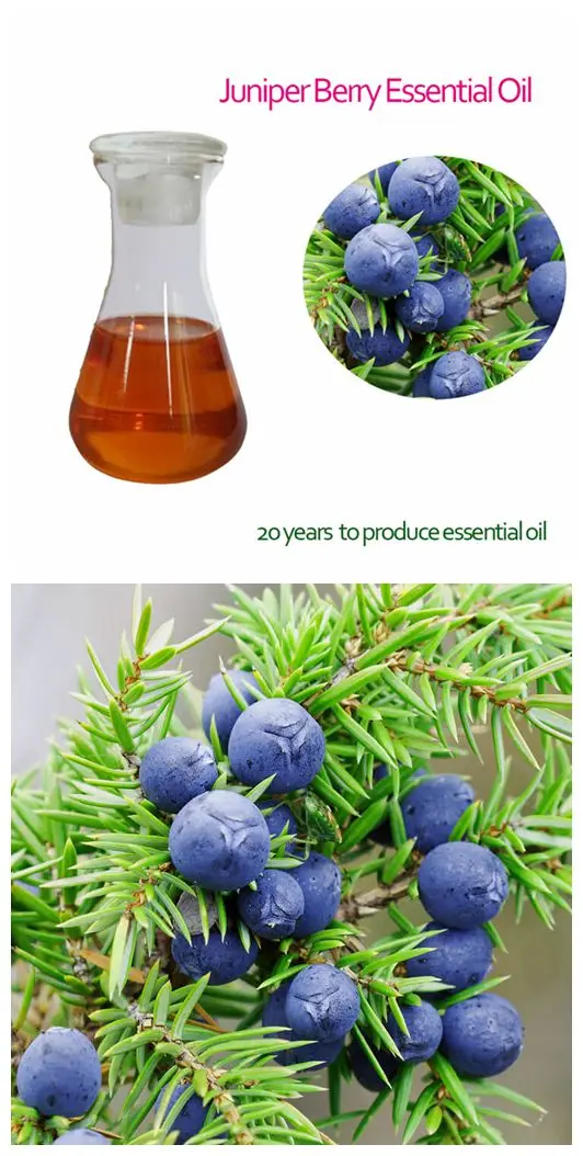 oem supply natural juniper berry essential oil for cosmetic