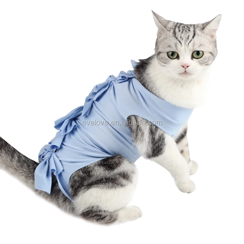 cat recovery suit near me