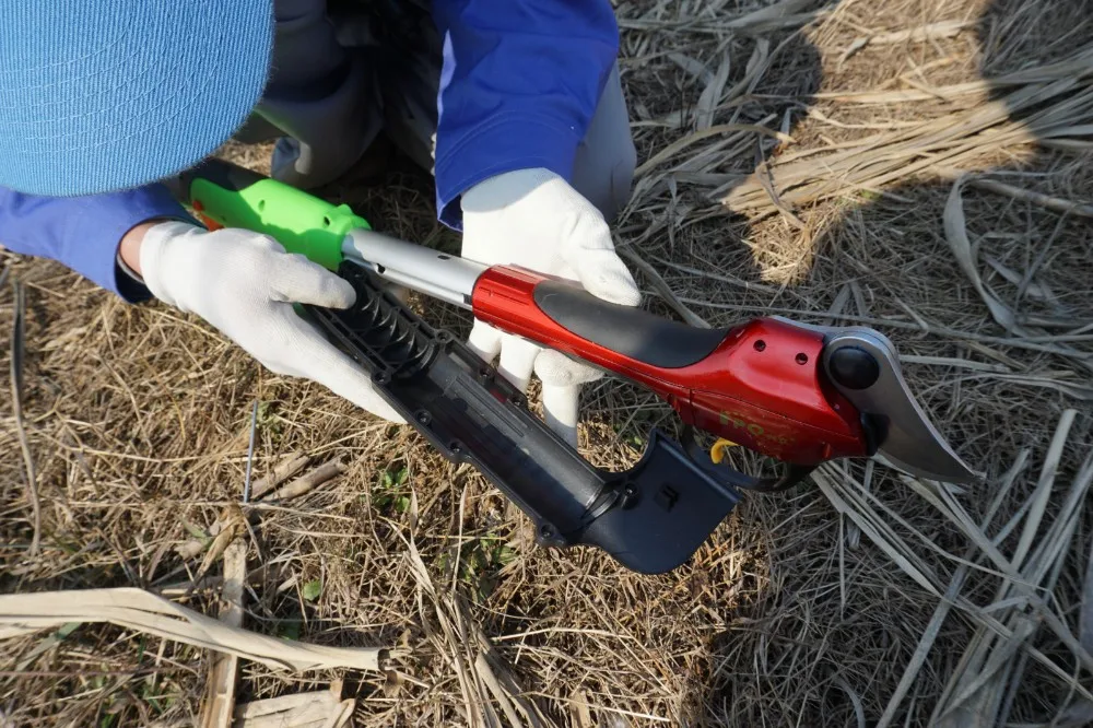 Longreach Electric Telescopic Pole Pruner Bypass Battery Powered