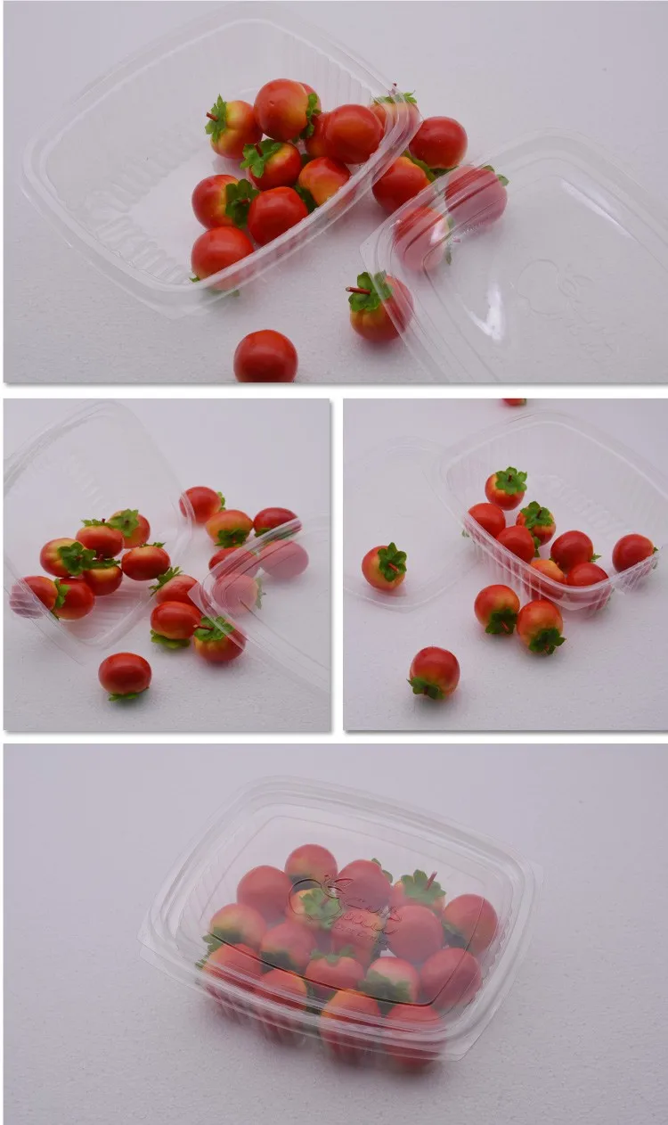 Wholesale Disposable Clear Plastic Fruit Container With Lid Buy