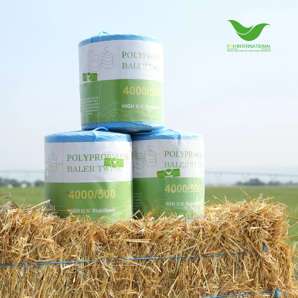 cling film for food wrap