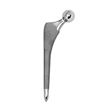 Titanium hip prosthesis picture