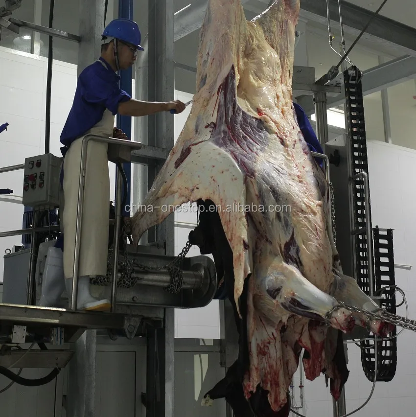 Cow Cow Halal Ritual Kill Slaughter Strike Box for Beef Slaughter House Equipment