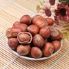 Chinese suppliers Hazelnut kernels/Hazelnut in shell/ Organic hazelnut