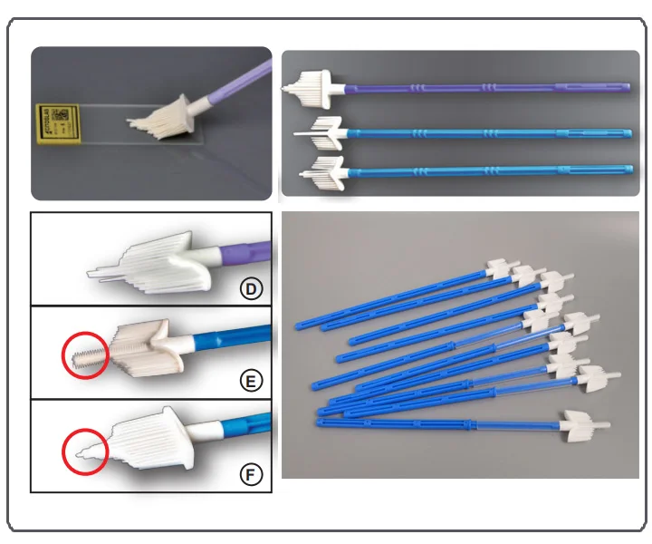 Sterile Cervical Cyto Broom And Brush Buy Sterile Cervical Cyto Brush