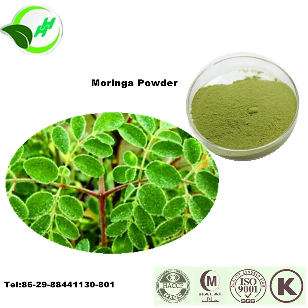 Herb Medicine Moringa Leaf Extract / Moringa Leaf Powder Buy Moringa