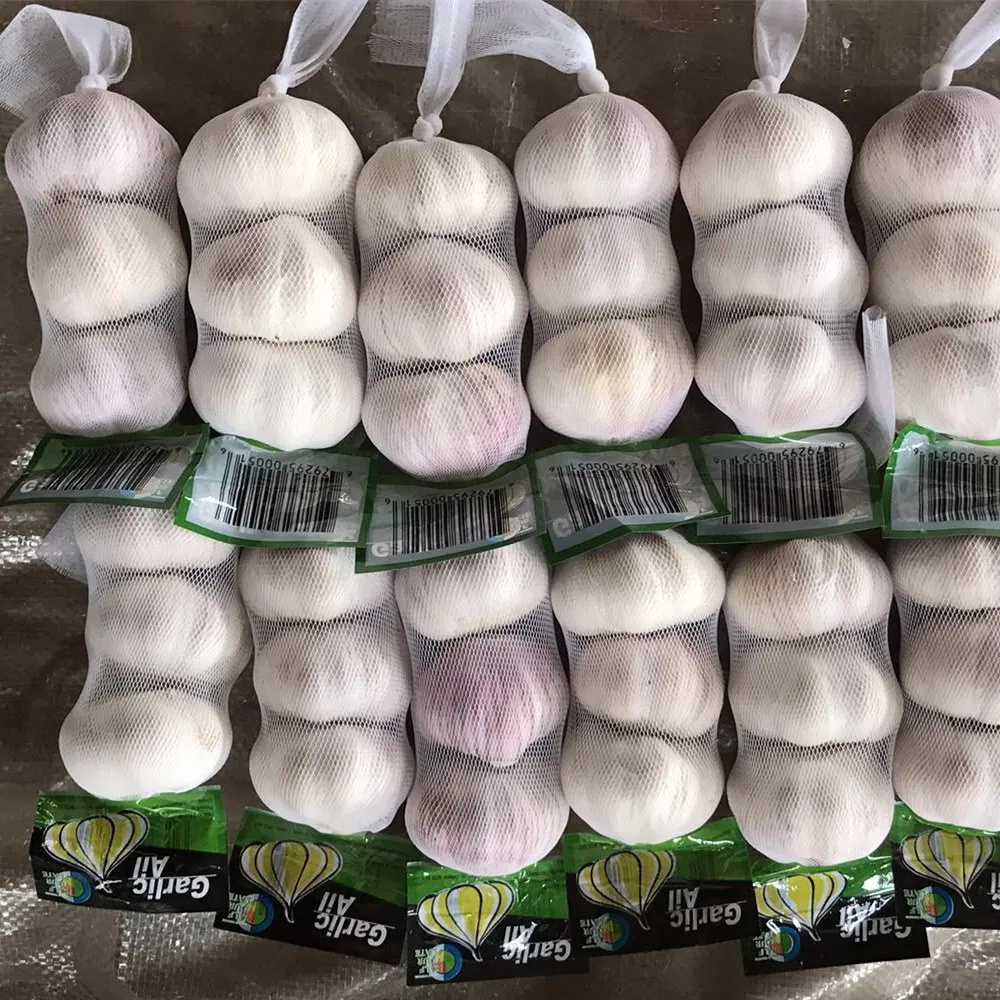 الثوم الطازج والزنجبيل الثوم الطازج المستورد العادي الأبيض الثوم الأبيض النقي السعر في الصين