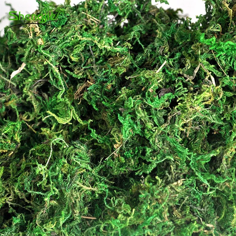 Factory Cheap Price Artificial Wall Decorative Green Moss Buy Artificial Green Moss,Artificial