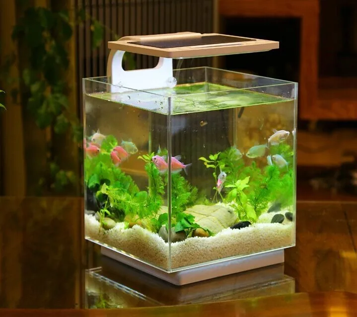 Slim Lights Simple Visual Clip Acrylic Fish Tank Aquarium Acrylic Fish ...