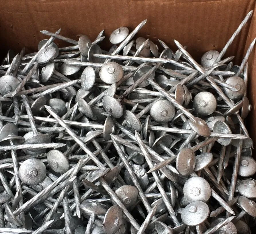 Hot Dipped Galvanized Electro Galvanized Umbrella Roofing Nails With Twisted Shank Buy China