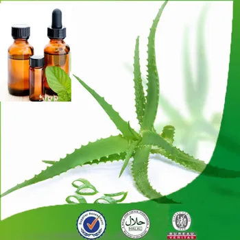 Animate Lidah Buaya Vera Vitamin E Wajah Minyak Minyak
