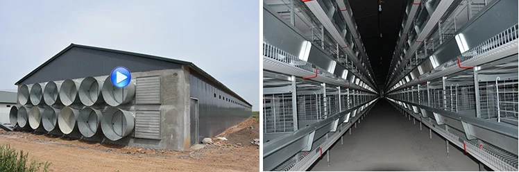 H Type Layer Cage-02.jpg