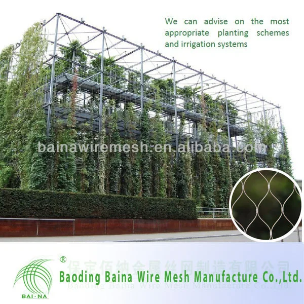 Architectural Surface Plant Climbing Net Architectural Surface Plant Climbing Net