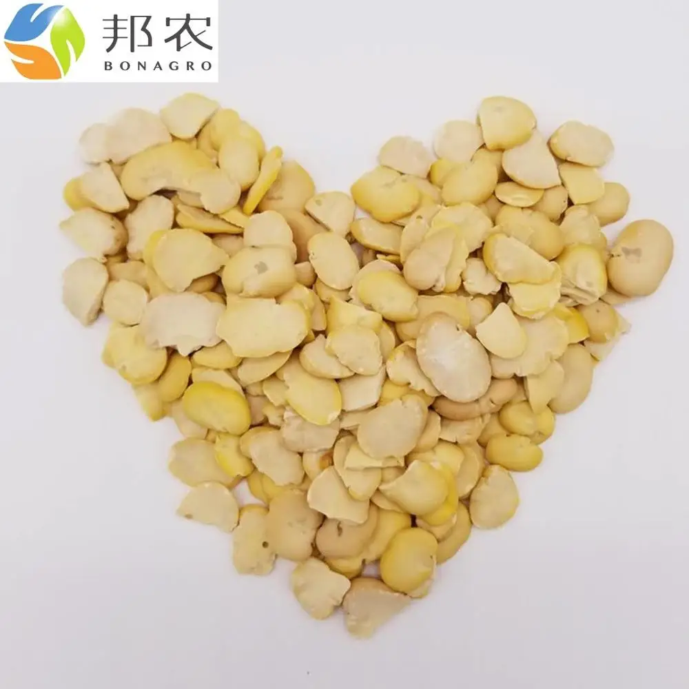 
Broad Bean split peeled new crop 