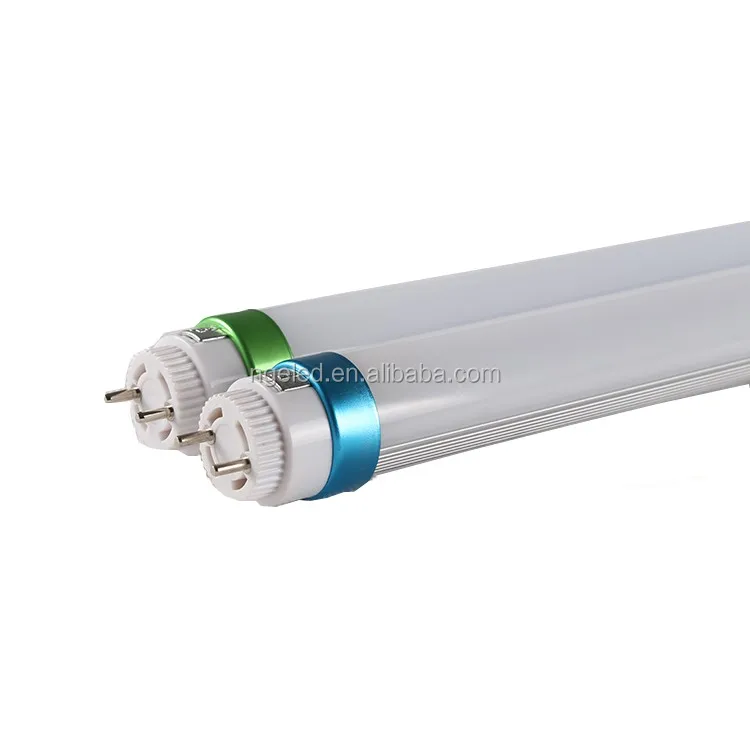 Tube Light T8-2(2).jpg