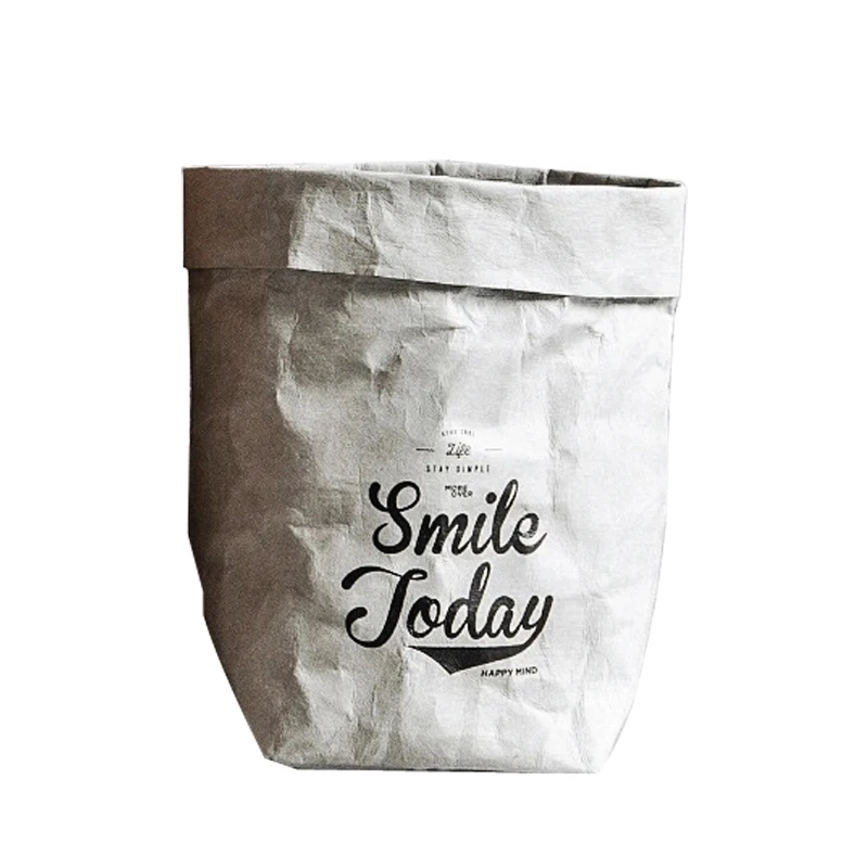 Ins style waterproof DuPont paper insulation bag lunch bag portable thick eco friendly tyvek paper bag