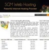 Website Hosting Services