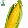 Hot Sale soft canned yellow sweet corn