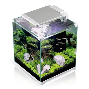 Unduh 910 Koleksi Background Hitam Aquarium Paling Keren