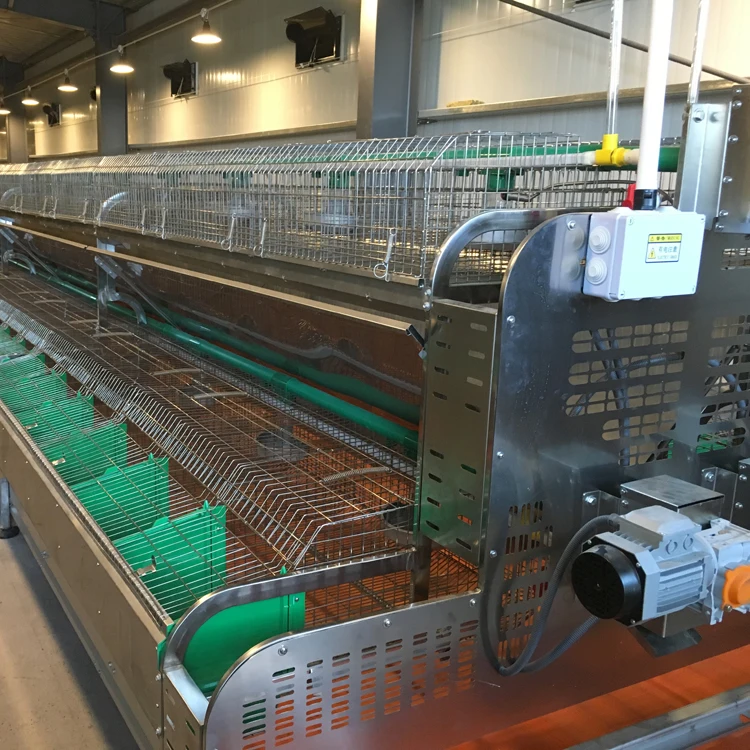 24 Cells Rabbit Cage Industrial Breeding Rabbit Cage Commodity Rabbit