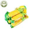 /product-detail/220g-sweet-corn-kernel-corn-in-vacuum-packed-60815631997.html