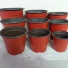 Home Garden nursery Double Color Plastic garden pots Flower Pot