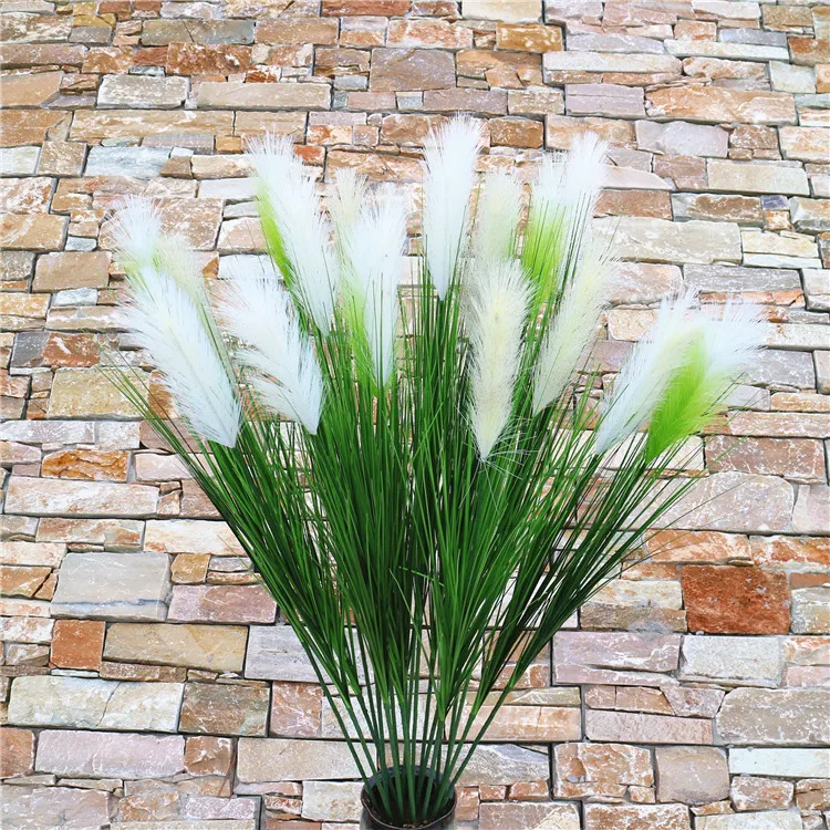 pampas grass (8).jpg