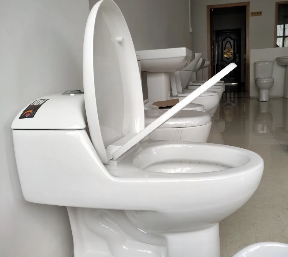 Ceramic Material And Gravity Flushing Flushing Method Classic Sanitary