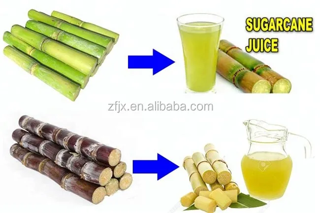 sugarcane juice extractor.jpg