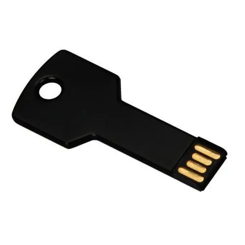 Metal USB Flash Drive Logo Customized 4GB 8GB 32GB 64GB Memory Key Usb Pen Drive - ANKUX.COM