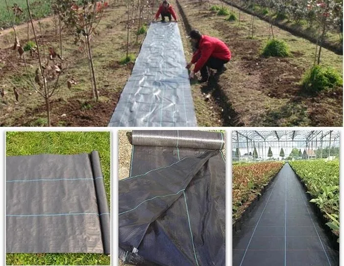 Black Agricultural Pp Weed Control Mat,Ground Tarp Cover,Weed Mat Buy