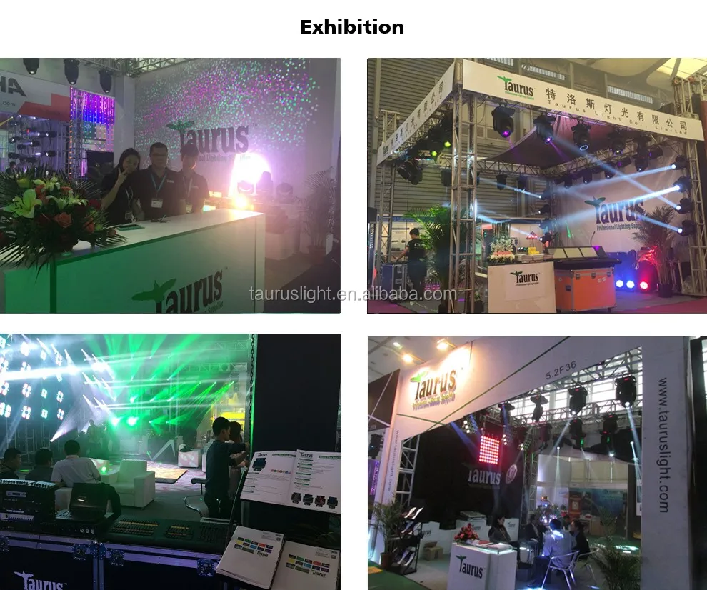 Taurus Light - Exhibition.jpg