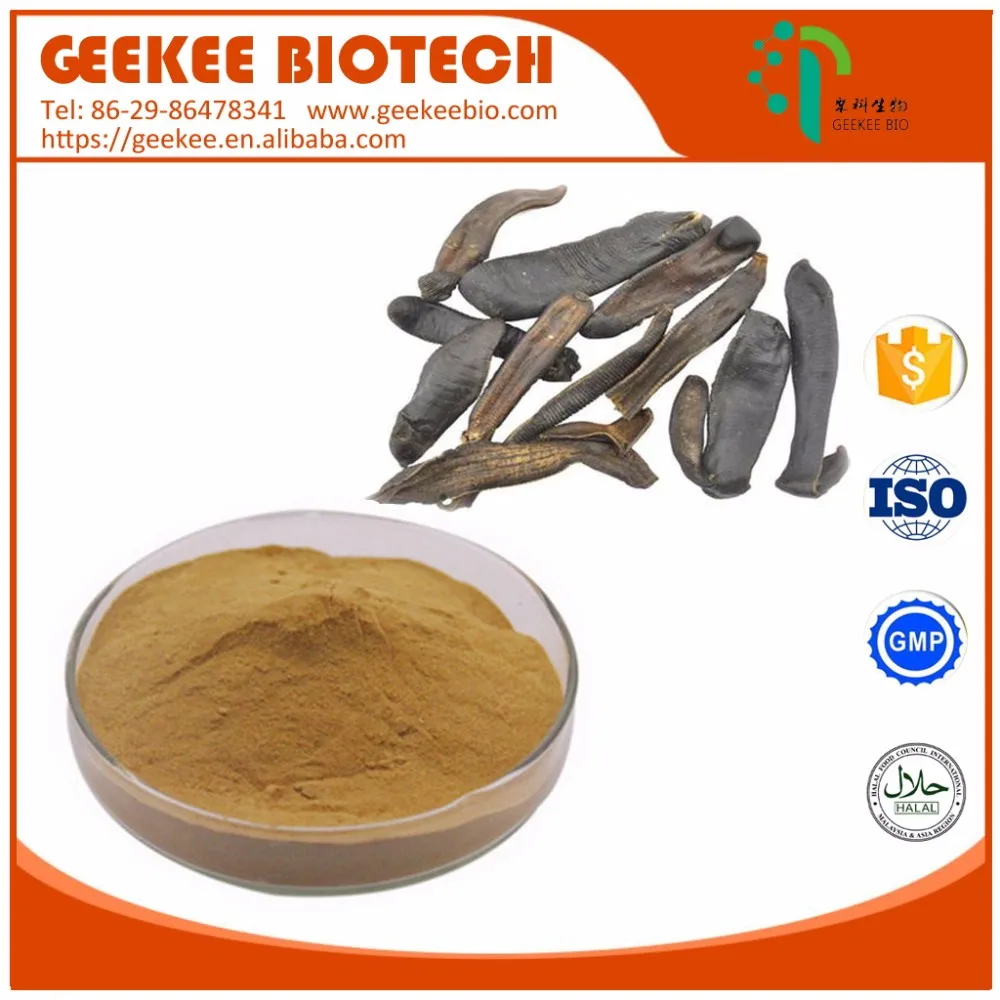 Online Pharmacy Leech Extract Powder / Medicinal Leeches For Sale Buy