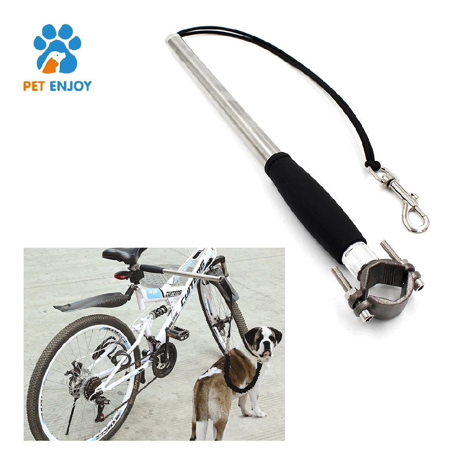 sunlite bicycle dog leash