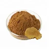 phellinus linteus powder phellinus linteus polysaccharide Instant Phellinus igniarius extract