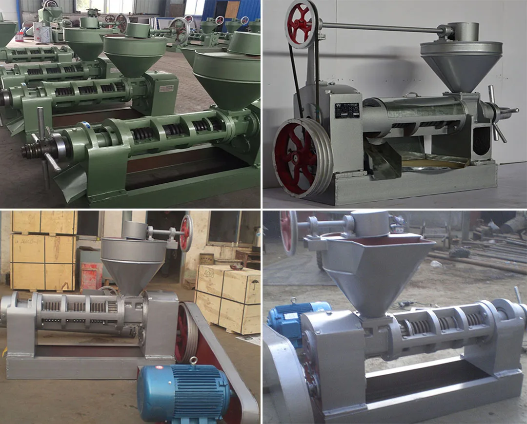 Cooking Oil Making Machine With High Technology Homemade Vegetable 6yl100 Screw Soya Oil Press