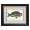Simple Gifts Art Oil Painting Wooden Frames For Wall decorative