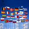 3x5 ft cheap custom flag full color printed 100% polyester wholesale all country flag National flags