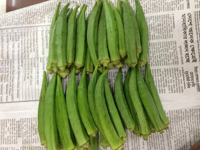 fresh lady finger high quality